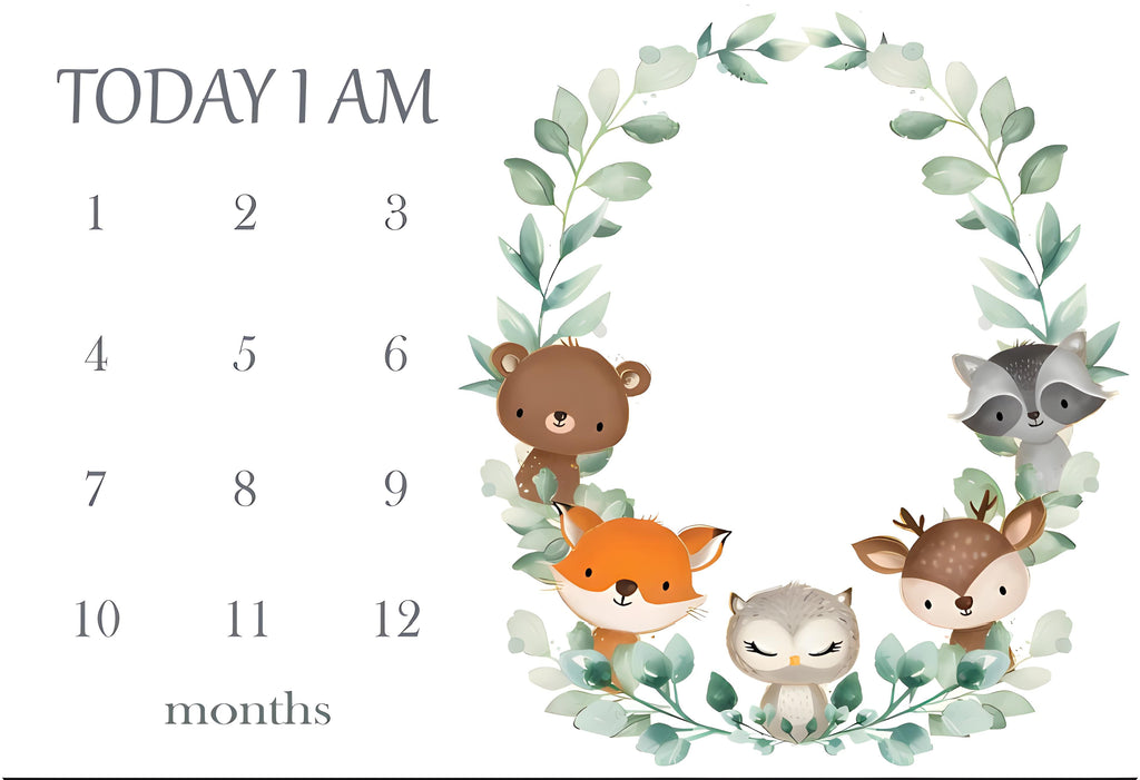 Monthly Milestone Blanket | 1 to 12 Months | Best for Newborn Boy & Girl, Multicolor, Cotton, Skin Friendly