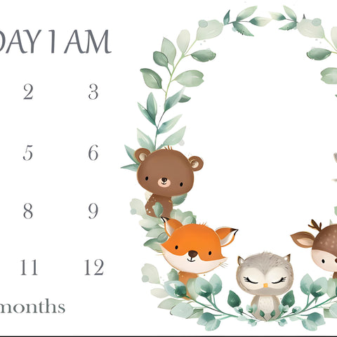 Monthly Milestone Blanket | 1 to 12 Months | Best for Newborn Boy & Girl, Multicolor, Cotton, Skin Friendly